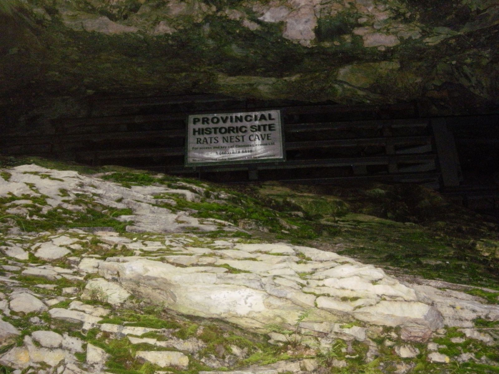 Rat's Nest Cave, Alberta