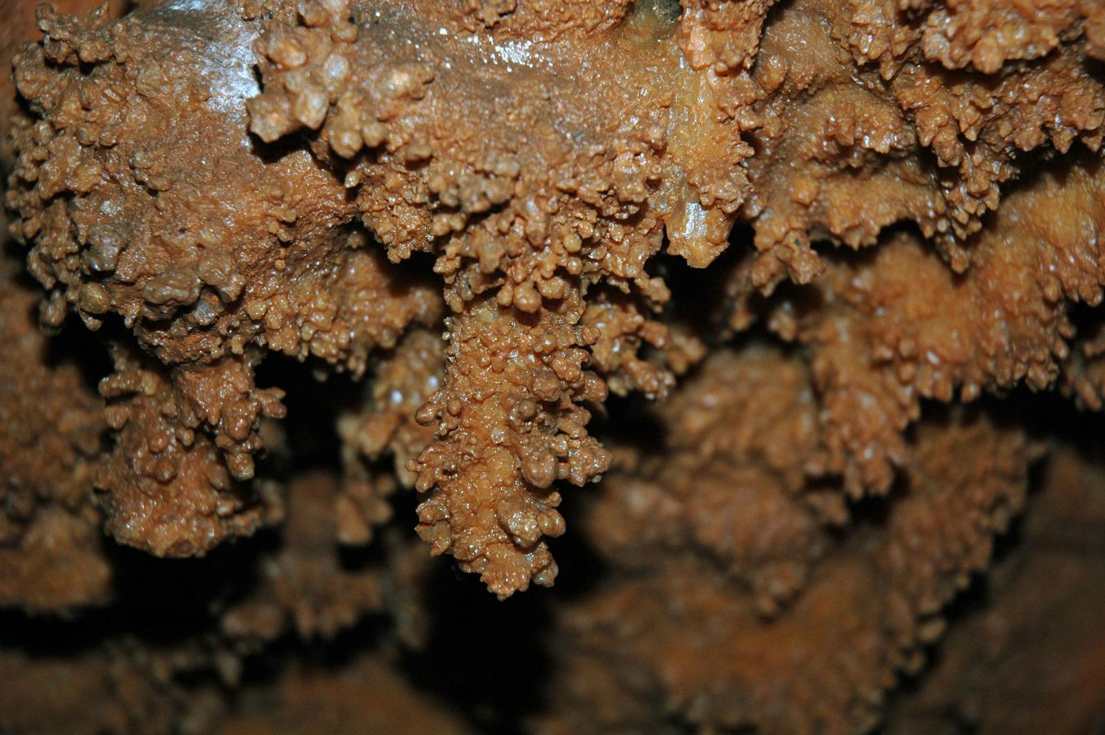 Coralloid formations in Coral Caverns, Pennsylvania