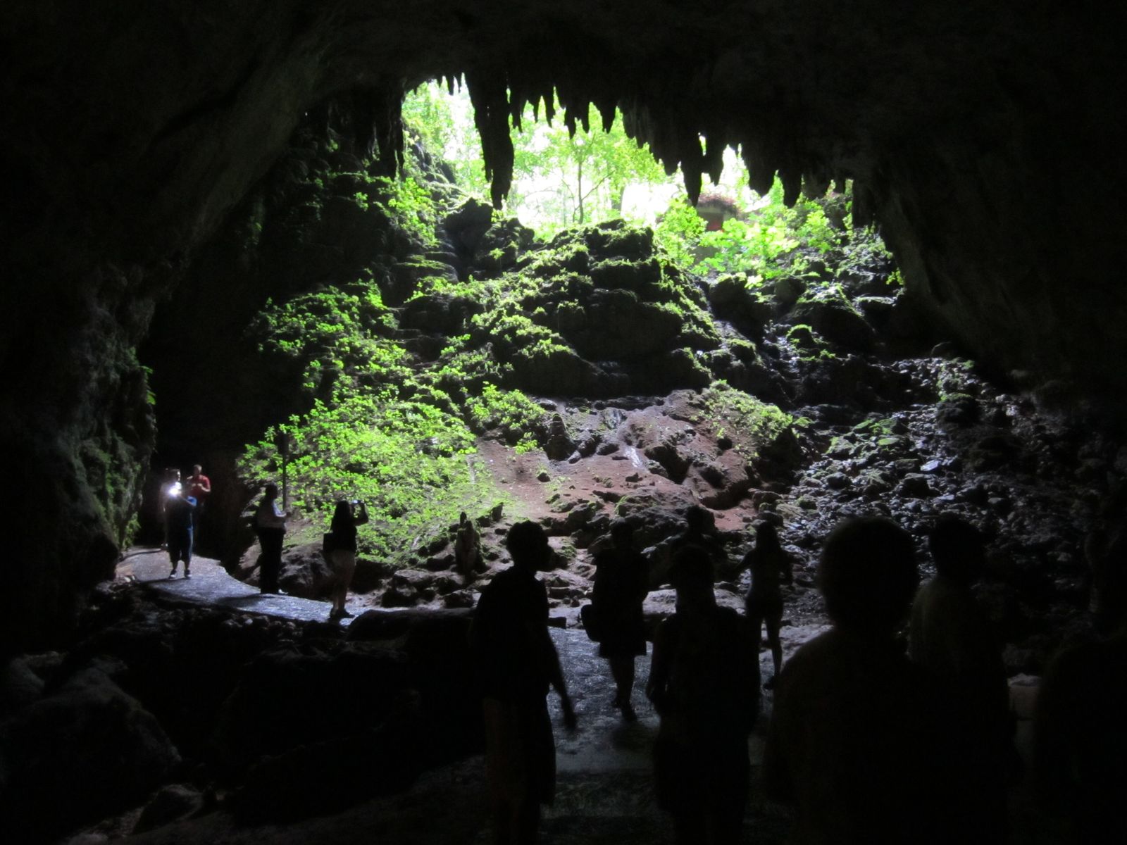 Río Camuy Cave Park, Puerto Rico