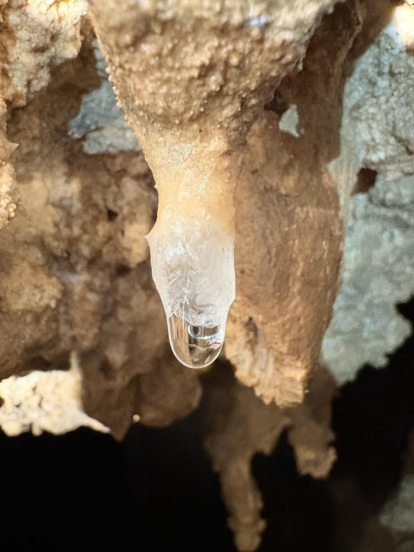 A soda straw stalactite in Bristol Caverns, Tennessee