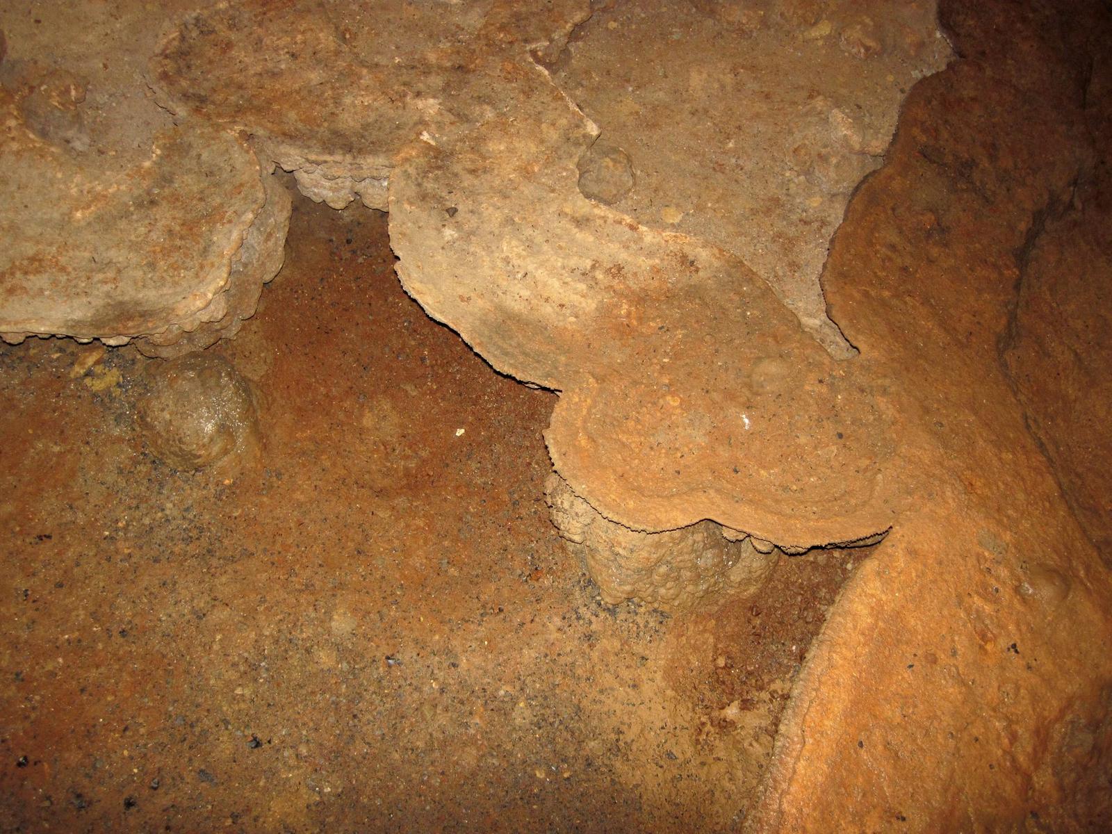 Travertine shelfstone inside Endless Caverns, Virginia