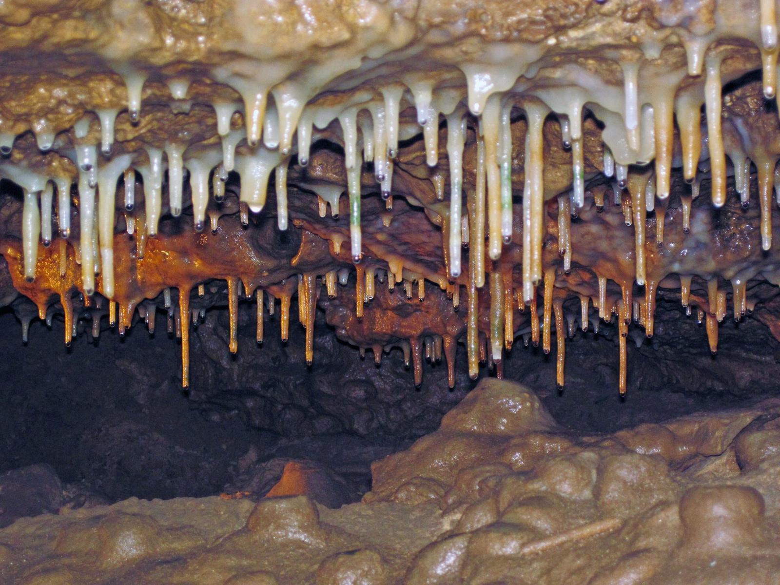 Soda straw stalactites inside Crystal Cave, Spring Valley, Wisconsin